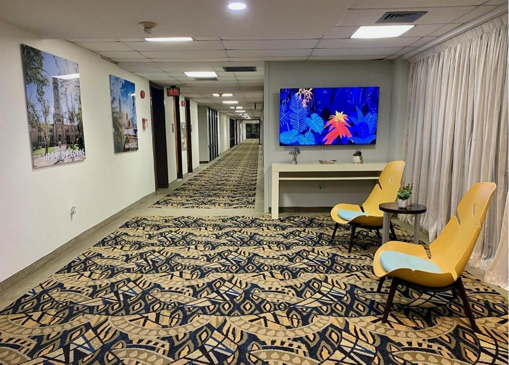 Ficus Hotel San Juan Zewnętrze zdjęcie